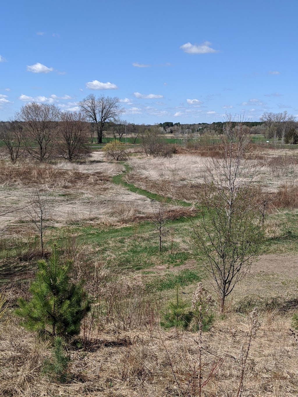 Pine Hills North Park | 3535 161st Ave NW, Andover, MN 55304, USA | Phone: (763) 767-5131