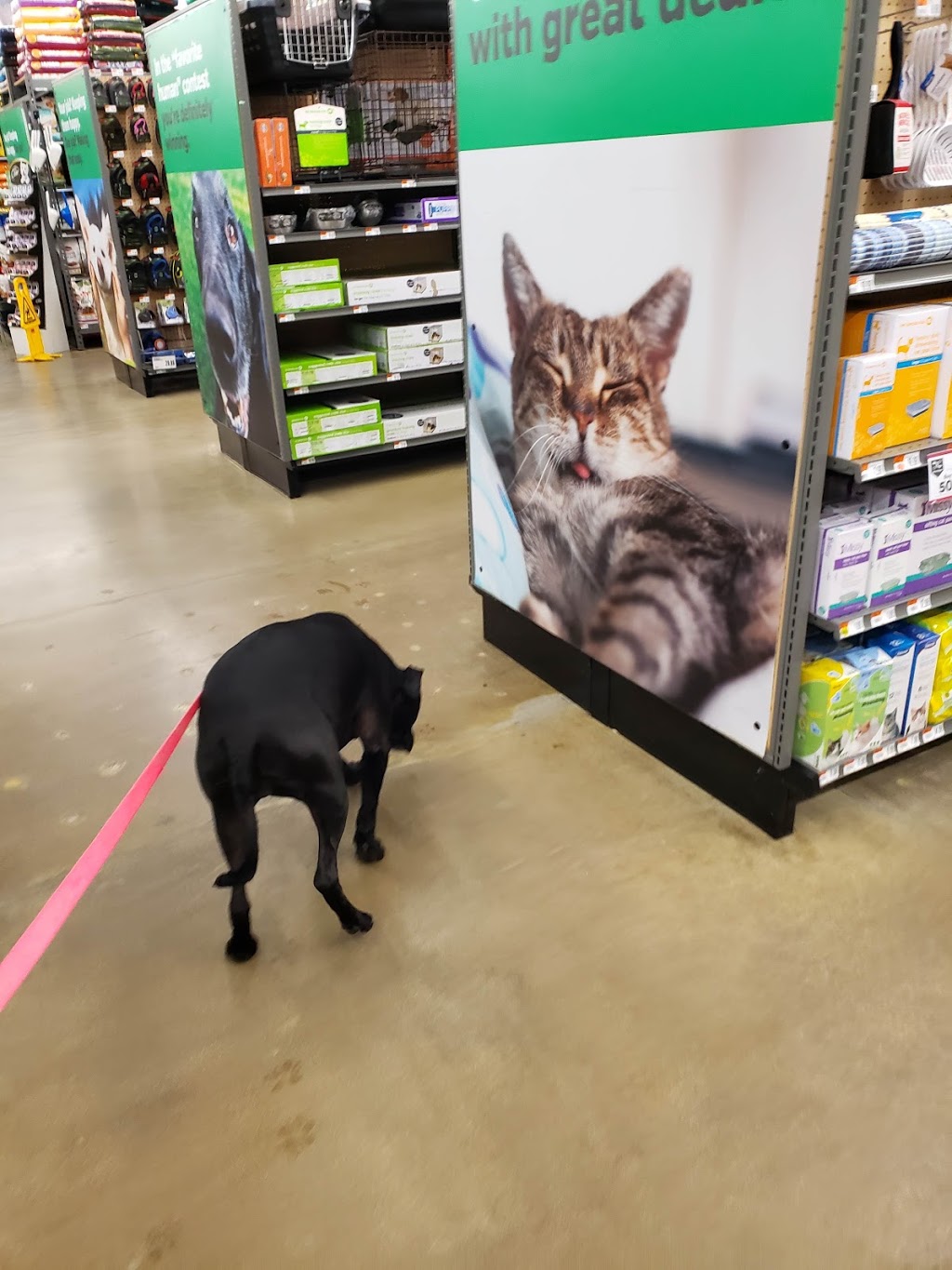 Pet Supplies Plus Englewood | 5050 S Federal Blvd, Englewood, CO 80110, USA | Phone: (303) 862-8017