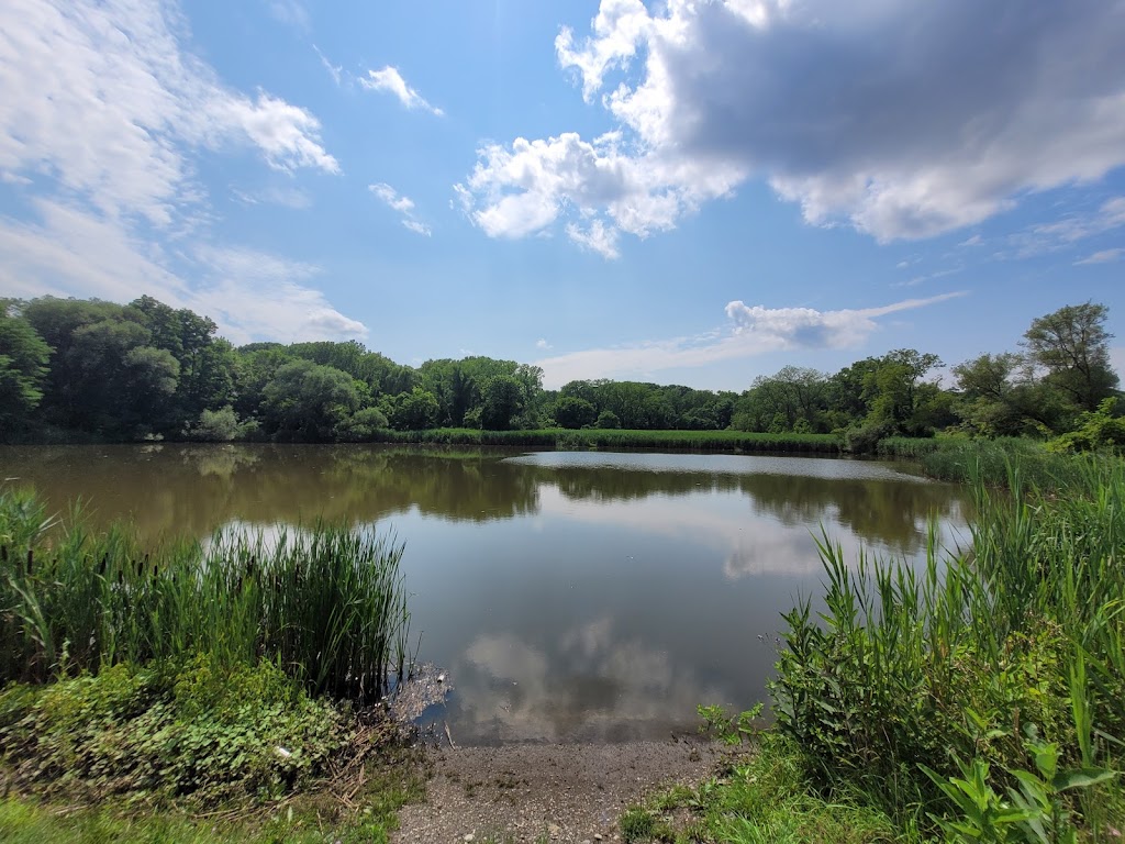 Tivoli Lake Preserve | Livingston Ave & Judson Street, Albany, NY 12206, USA | Phone: (518) 465-6066