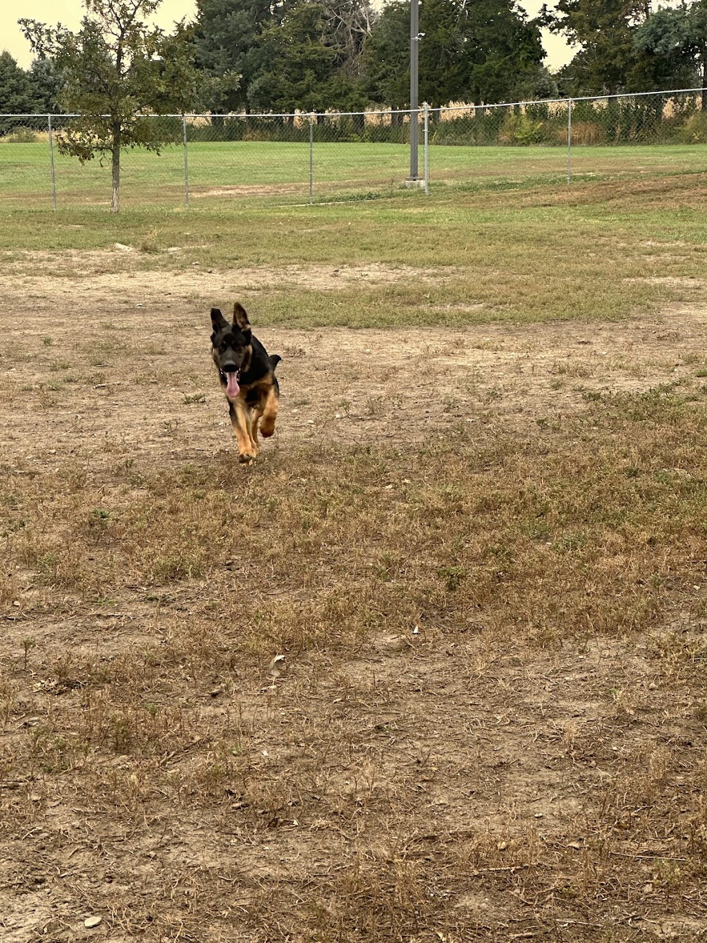 Columbus Bark Park | 5692-5794 Monastery Rd, Columbus, NE 68601, USA | Phone: (402) 562-4234