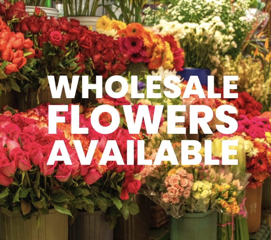 Flower Spot NJ | 440 Shrewsbury Ave, Shrewsbury, NJ 07702, USA | Phone: (917) 692-9035