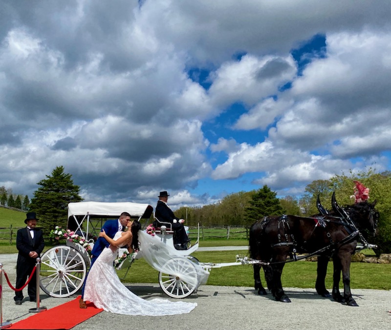 Horsing Round Carriage Service | 144 Dunbar Ohiopyle Rd, Dunbar, PA 15431, USA | Phone: (724) 277-0974