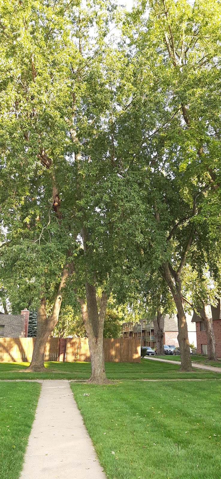 Greenbriar Apartments | 1400 Franklin Ave, Council Bluffs, IA 51503, USA | Phone: (712) 328-0255