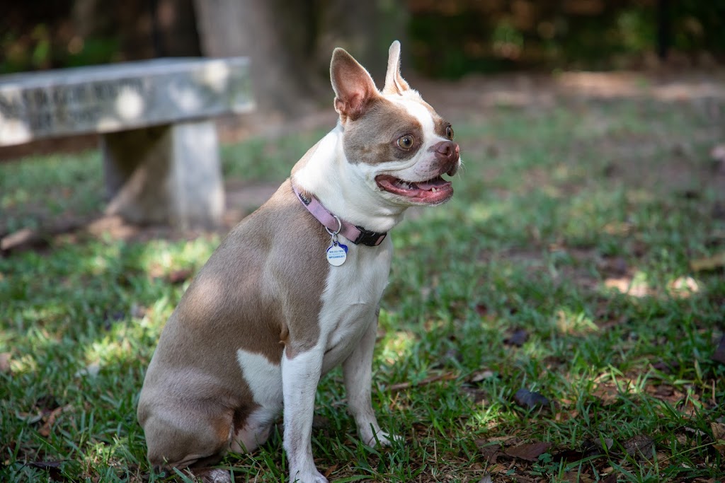 Peachtree City Dog Park | 193 McIntosh Trail, Peachtree City, GA 30269, USA | Phone: (770) 631-2542