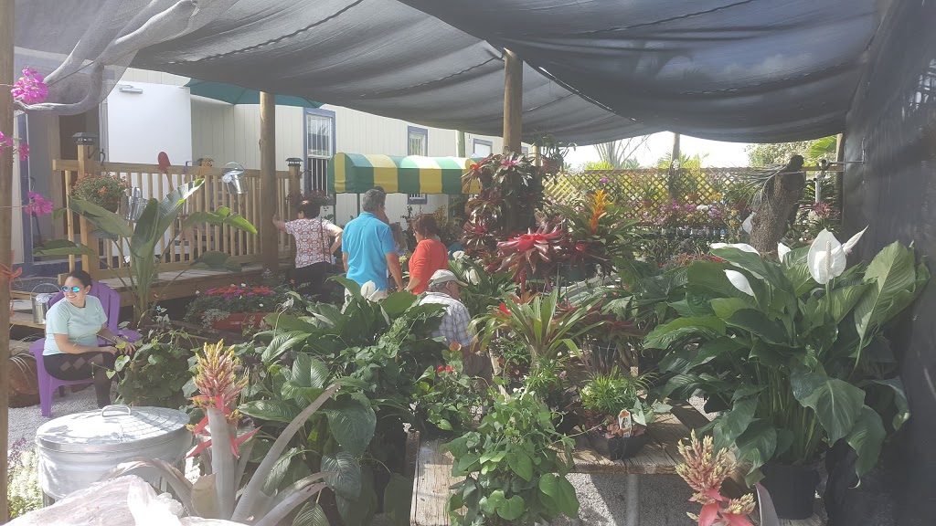 precious gardens nursery inc | 21190 Krome Ave, Miami, FL 33187, USA | Phone: (786) 486-0739