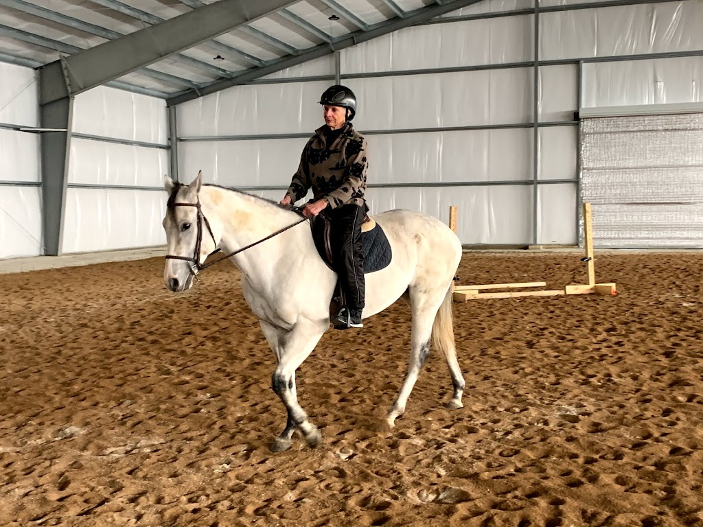 BakerHill Stables | 13750 W Bruns Rd, Manhattan, IL 60442, USA | Phone: (815) 277-9441