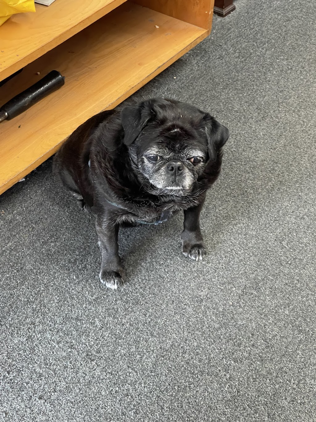 Flair Cleaners | 761 River Rd, Fair Haven, NJ 07704, USA | Phone: (732) 747-5255