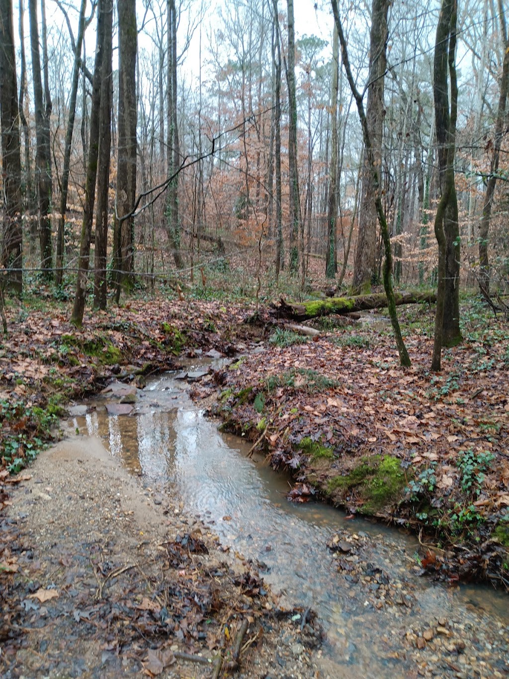 Lost Corner Preserve | 7300 Brandon Mill Rd NW, Sandy Springs, GA 30328, USA | Phone: (770) 730-5600