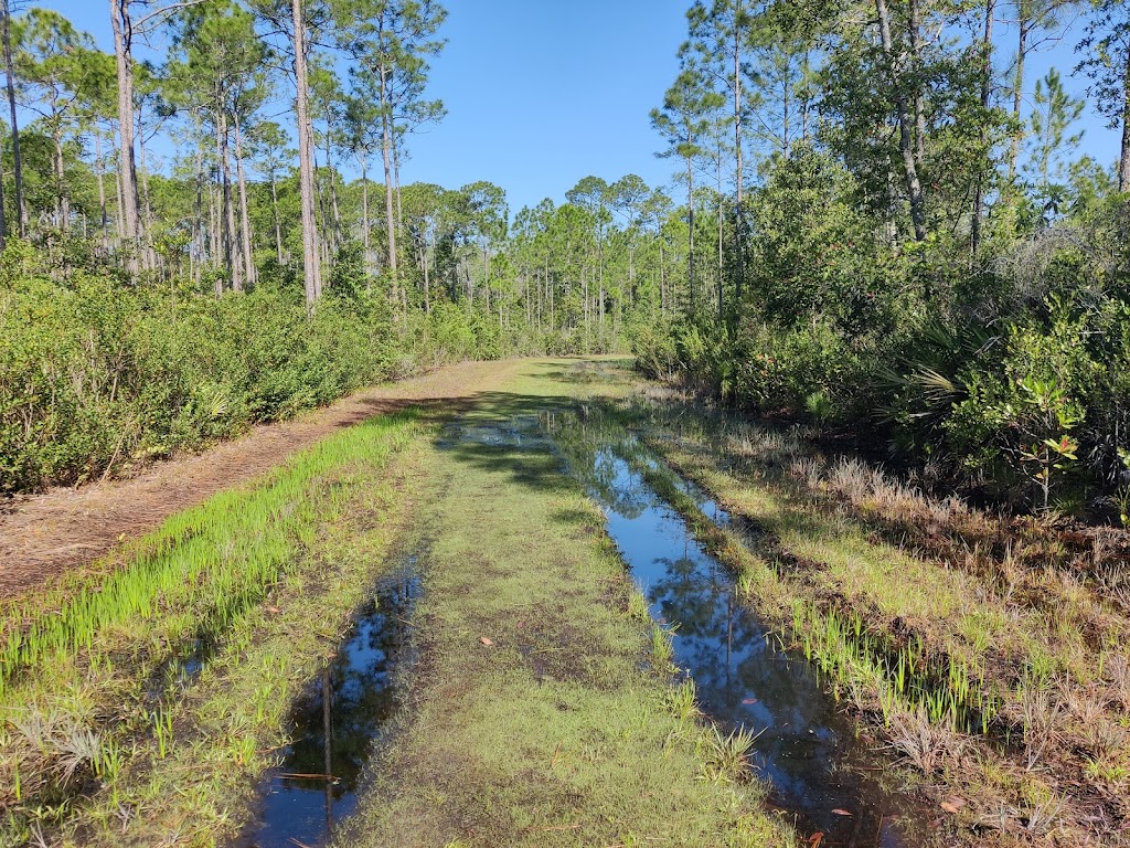 Twelve Mile Swamp Conservation Area | 1400-1470 Charles Usinas Memorial Hwy, St. Augustine, FL 32084, USA | Phone: (386) 329-4404 Twelve Mile Swamp Conservation Area | 1400-1470 Charles Usinas Memorial Hwy, St. Augustine, FL 32084, USA | Phone: (386) 329-4404