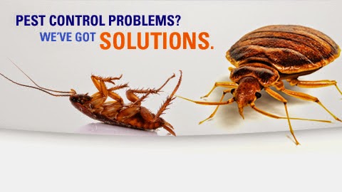 Quality Control Exterminating | 5492 US-29, Blairs, VA 24527, USA | Phone: (434) 836-0273