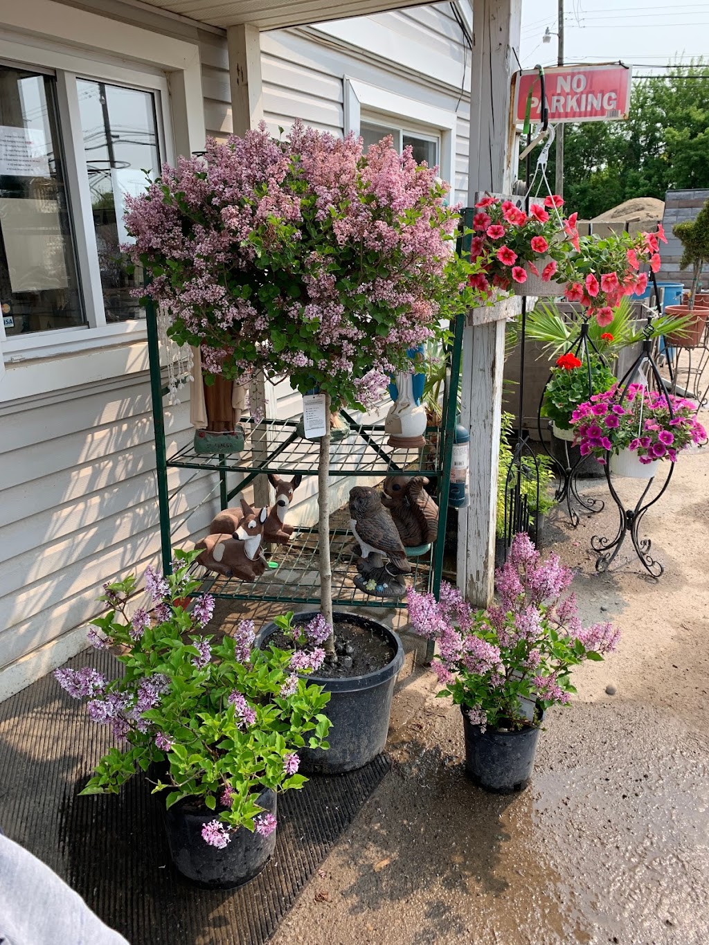 Merlinos Bushel Center Landscaping & Nursery | 1287 S Merriman Rd, Westland, MI 48186, USA | Phone: (734) 722-0616