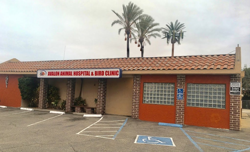 Avalon Animal Hospital & Bird Clinic | 22404 S Avalon Blvd, Carson, CA 90745, USA | Phone: (310) 835-0111