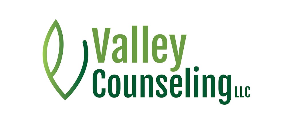 Valley Counseling, LLC | 900 Crest View Dr STE 220, Hudson, WI 54016, USA | Phone: (715) 386-2003