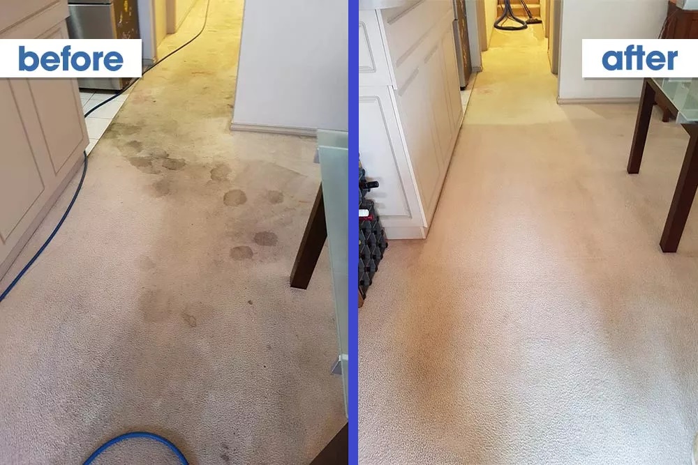 Serenity Floor Care | 3824 Camino Dr, Plano, TX 75074, USA | Phone: (214) 919-2585