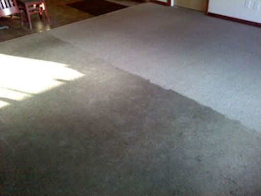 Reillys Carpet Cleaning | 5064 Ellicott Rd, Fredonia, NY 14063, USA | Phone: (716) 679-4546
