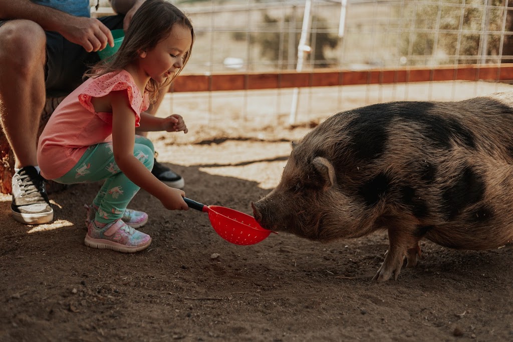 The Happy Heart Haven | 30398 Vía Valencia, Valley Center, CA 92082, USA | Phone: (760) 651-2421