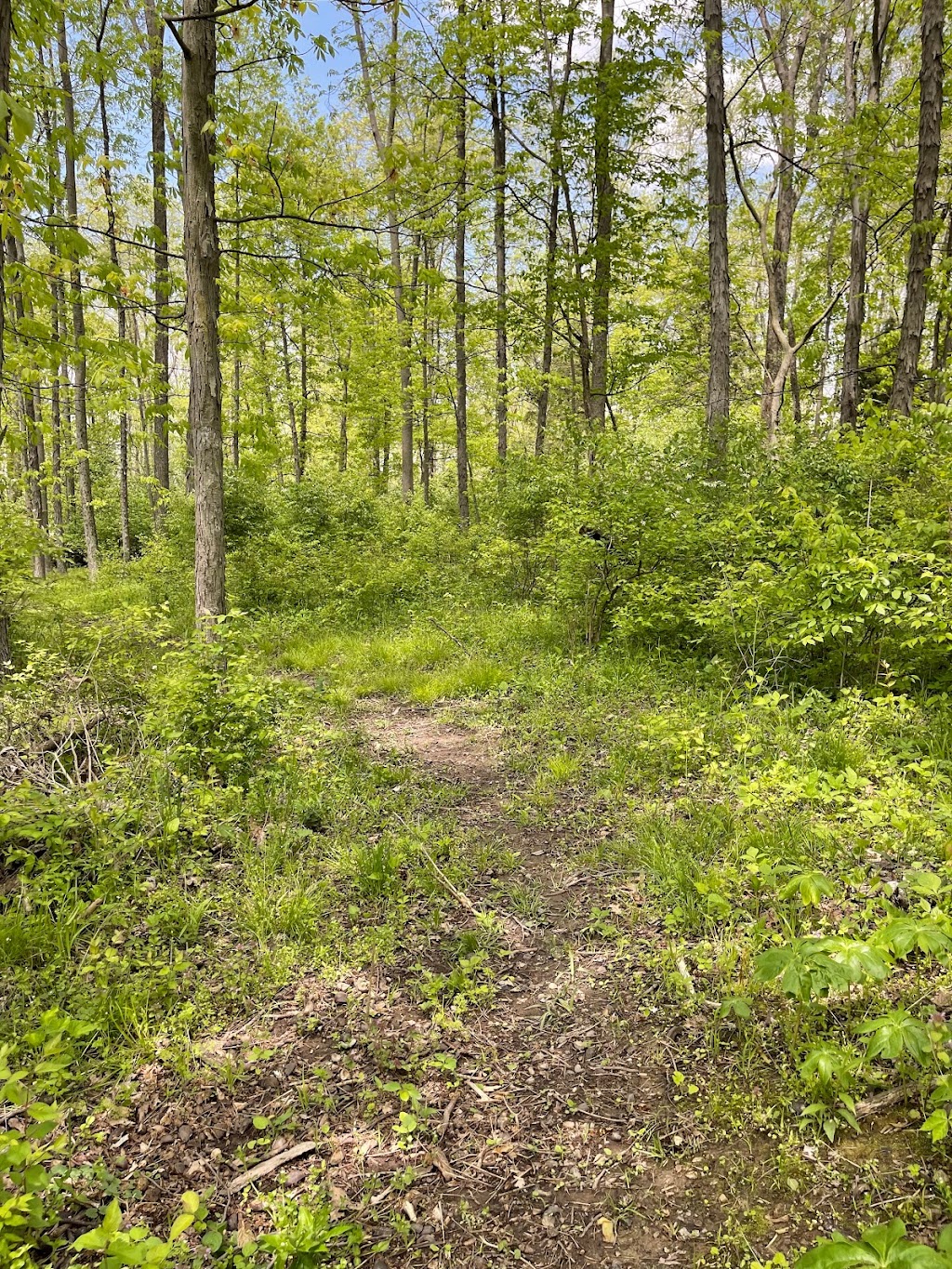 Todd Fork Nature Preserve | 1703 Co Rd 3, Wilmington, OH 45177, USA | Phone: (513) 752-2828