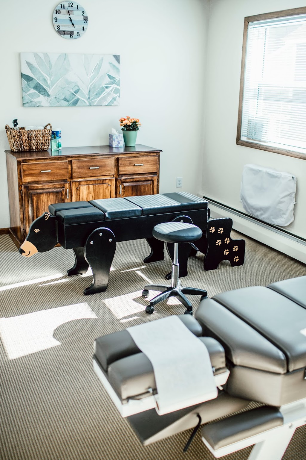 ABC Family Chiropractic | 5215 Main St E, Maple Plain, MN 55359, USA | Phone: (952) 300-8066