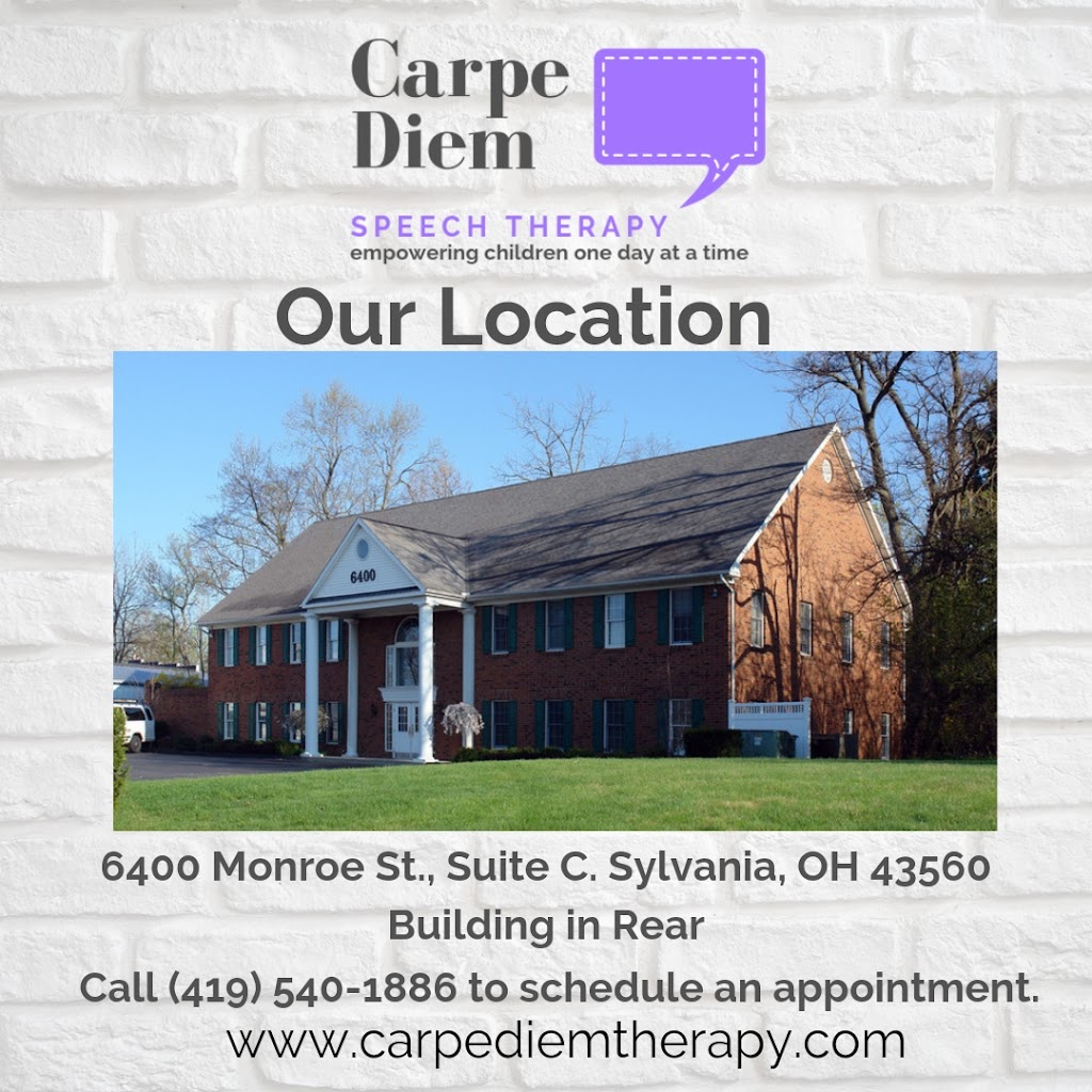 Carpe Diem Pediatric Therapy | 6400 Monroe St Suite C, Sylvania, OH 43560, USA | Phone: (419) 540-1886