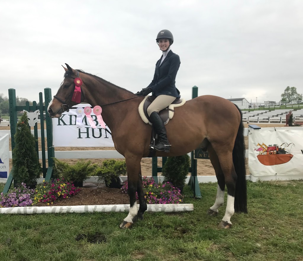 Top Flight Stables | 1608 Wildlife Dr, Chester Springs, PA 19425, USA | Phone: (610) 563-8019