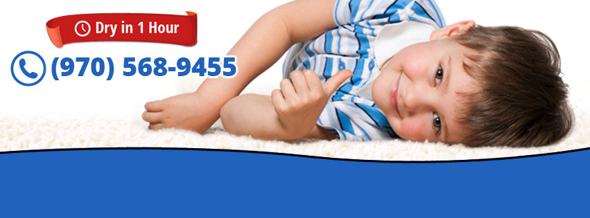 Heavens Best Carpet Cleaning Greeley CO | 56 Pajaro Way, Greeley, CO 80634, USA | Phone: (970) 568-9455