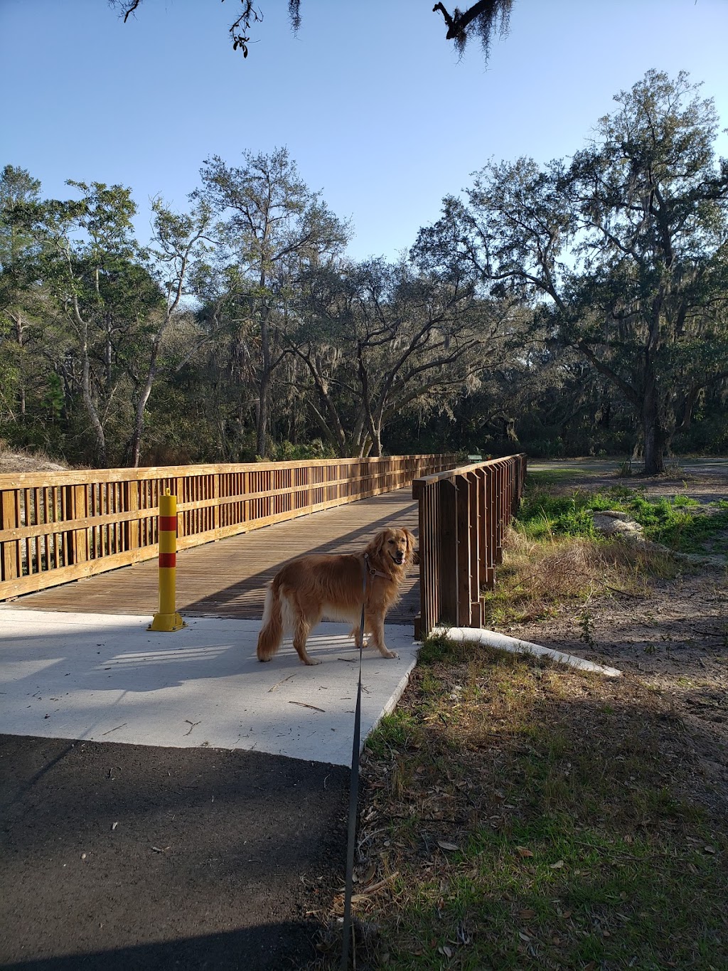 Coastal Anclote Trail | Anclote, Coastal Trail, Holiday, FL 34691, USA | Phone: (727) 938-2598