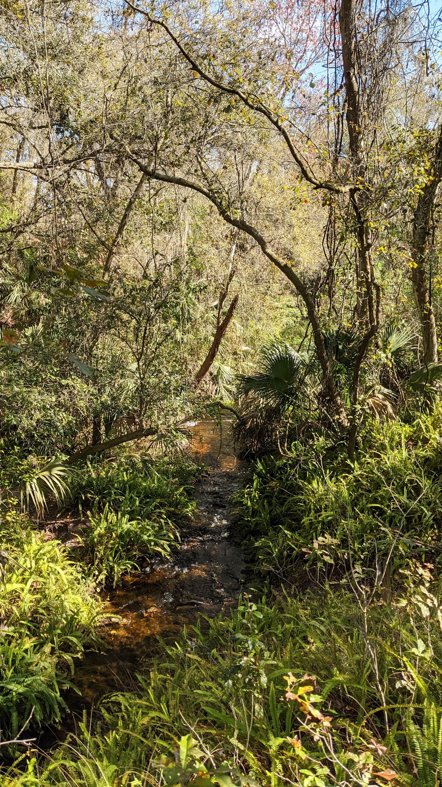 UBC - University Bicycle Center at Alafia River State Park | 14326 S County Rd 39, Lithia, FL 33547, USA | Phone: (813) 459-8293