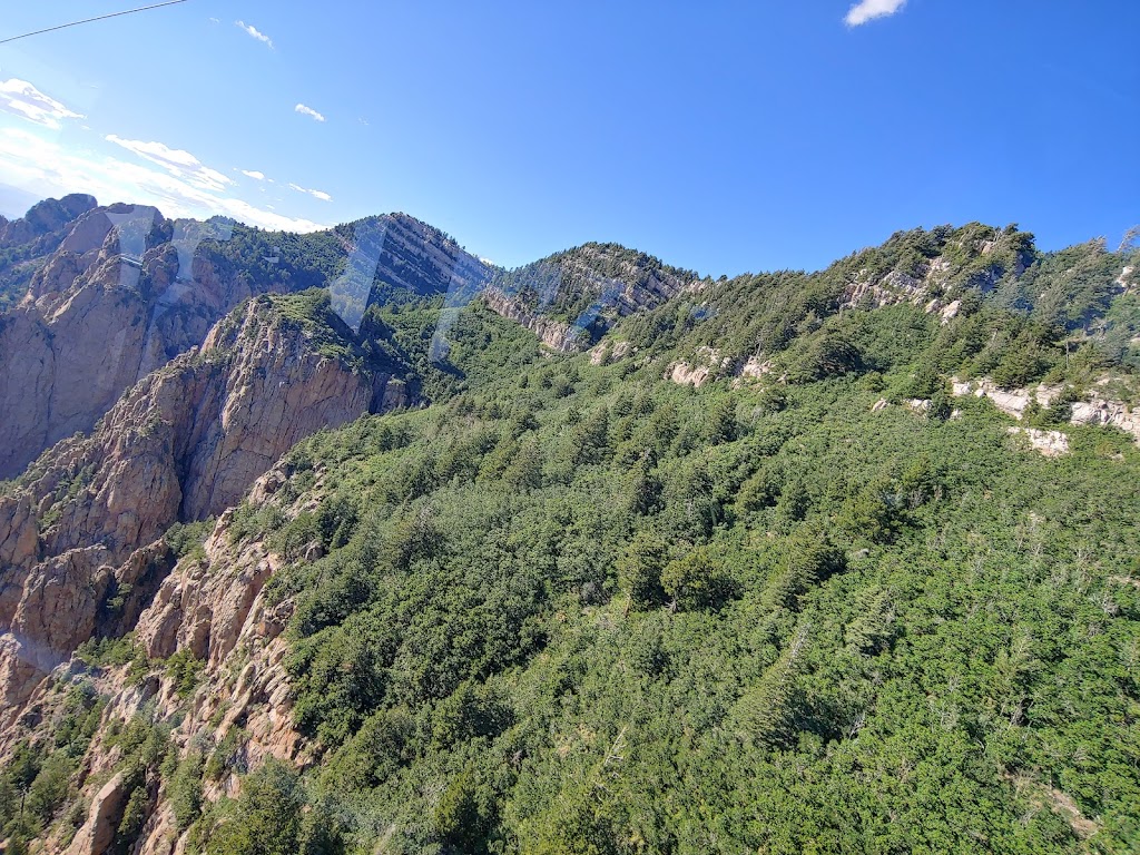 Cibola National Forest | Albuquerque, NM 87113, USA | Phone: (505) 346-3900