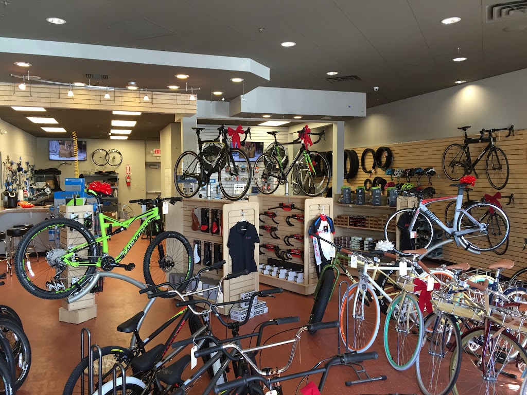 The Bike Shop | 7215 S Power Rd, Queen Creek, AZ 85142, USA | Phone: (480) 292-7600