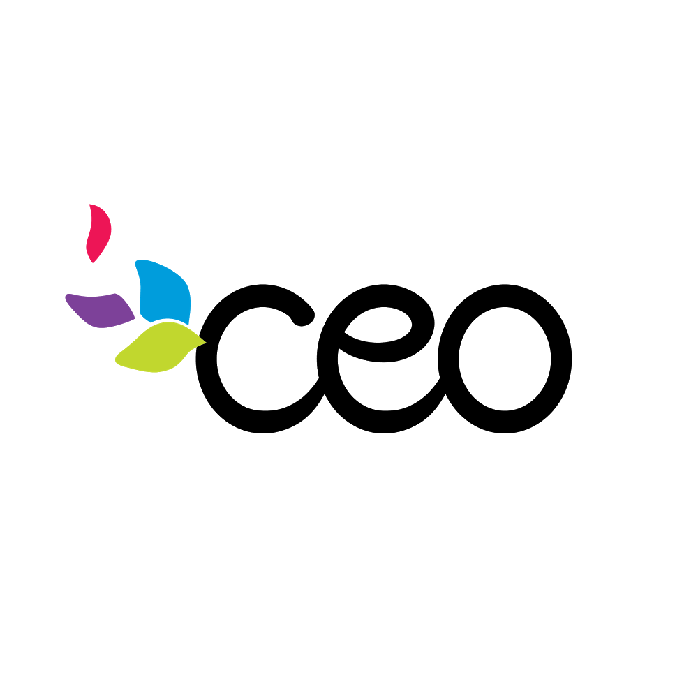 CEOs Rensselaer Family Resource Center | 1641 3rd St, Rensselaer, NY 12144, USA | Phone: (518) 694-9915