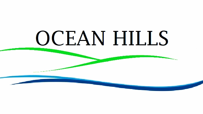 OCEAN HILLS PLUMBING INC. | 200 S Emerald Dr SPC 81, Vista, CA 92081, USA | Phone: (760) 458-5112