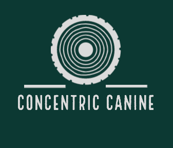 Concentric Canine | 66 Hiley Brook Rd, Stow, MA 01775, USA | Phone: (203) 257-6454