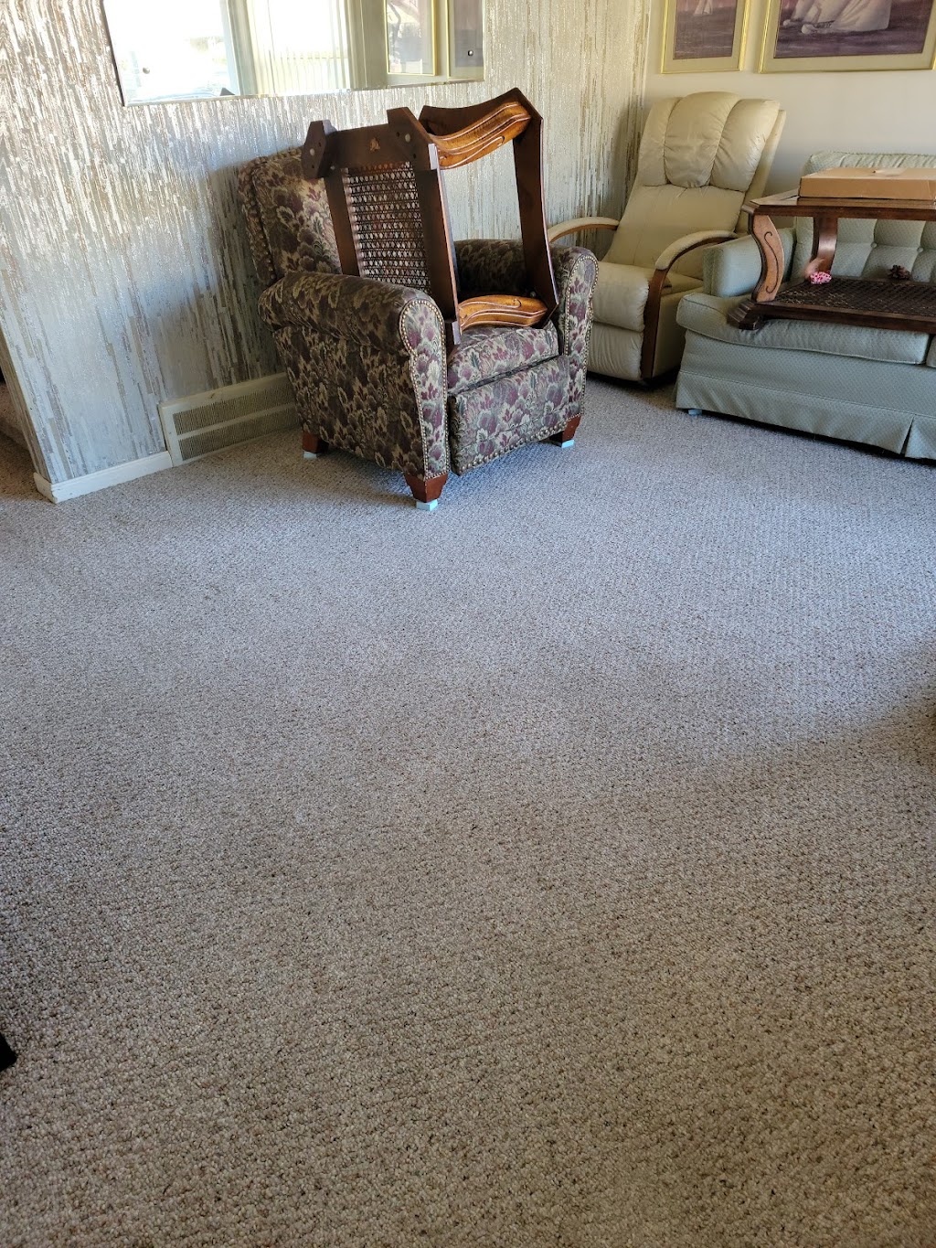 Premier Carpet Cleaning | Van Born Rd, Taylor, MI 48180, USA | Phone: (313) 543-8300