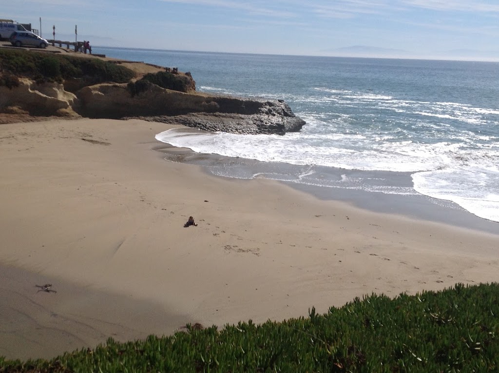 Santa Cruz Beach House Rental | 230 16th Ave, Santa Cruz, CA 95062, USA | Phone: (408) 857-2501