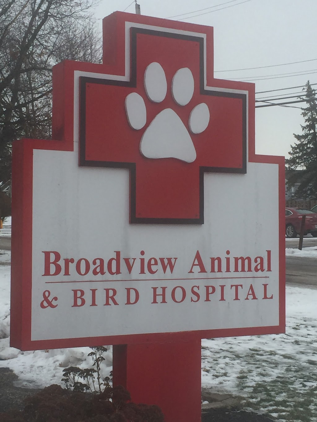 Broadview Animal & Bird Hospital | 7553 Broadview Rd, Seven Hills, OH 44131, USA | Phone: (216) 524-1141