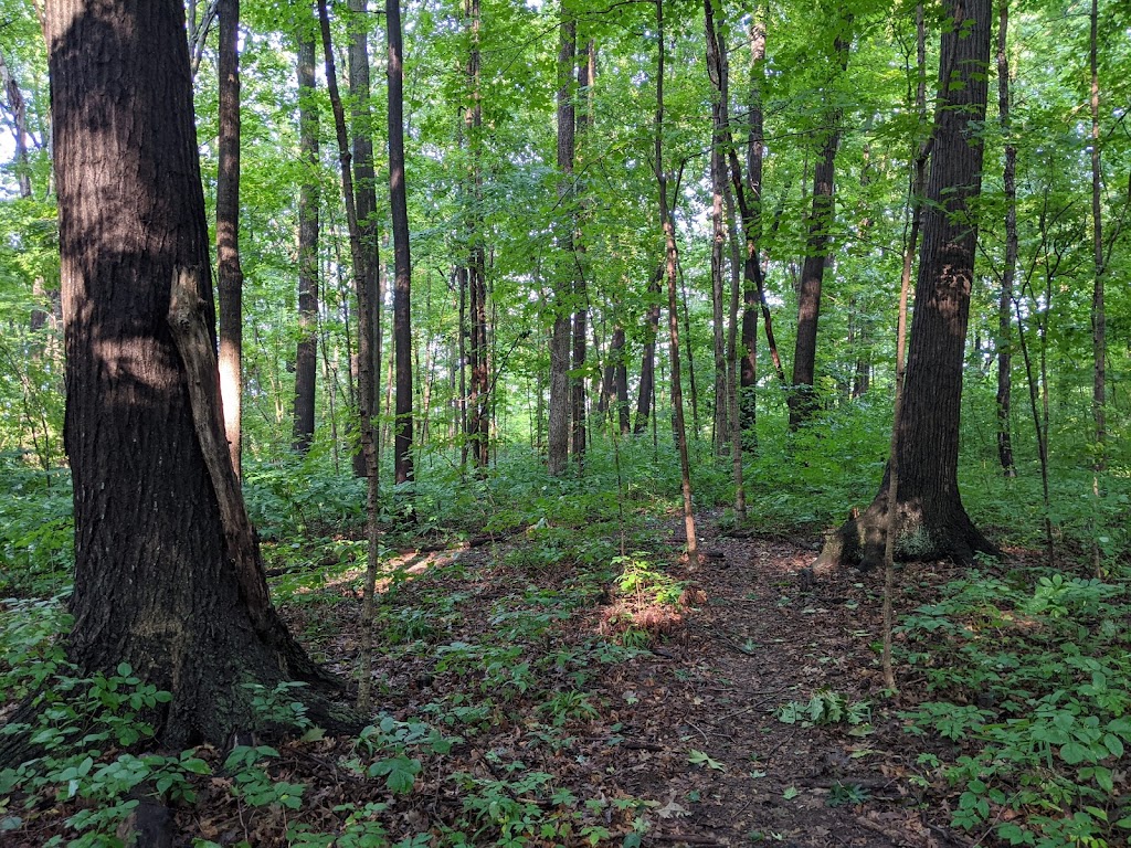 Tel-Hy Nature Preserve - Acres Land Trust | 1429 N 300 W, Huntington, IN 46750, USA | Phone: (260) 637-2273