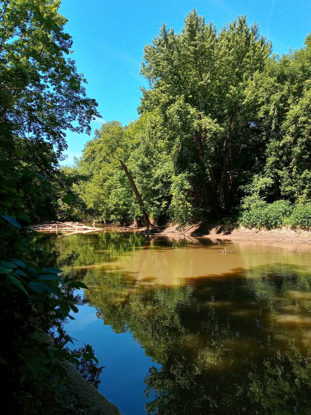 Rouge Park | 21860 Joy Rd, Detroit, MI 48228, USA | Phone: (313) 224-1129