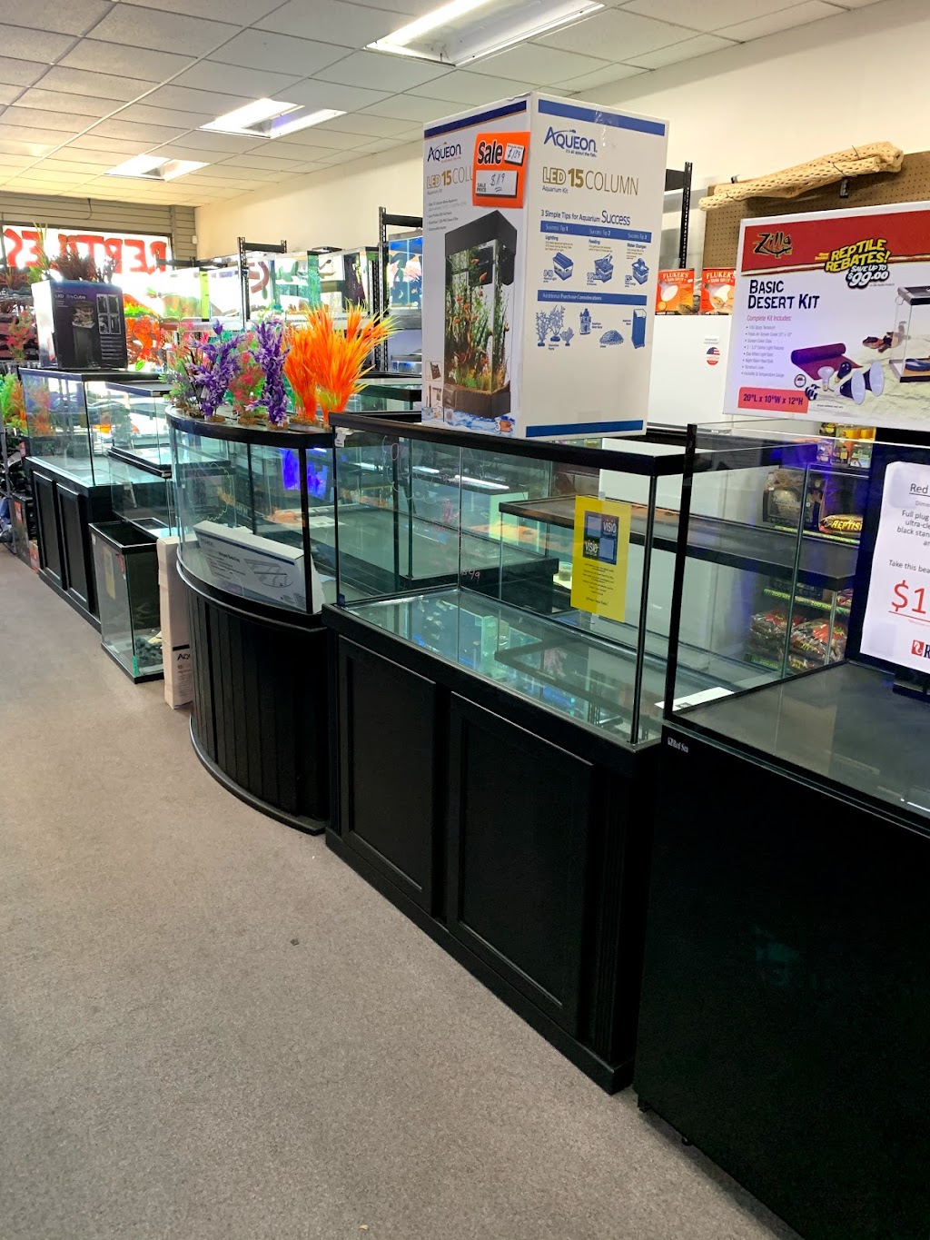 Aquatic Pets and Reptiles | 95 W Shaw Ave #103, Clovis, CA 93612, USA | Phone: (559) 298-4549