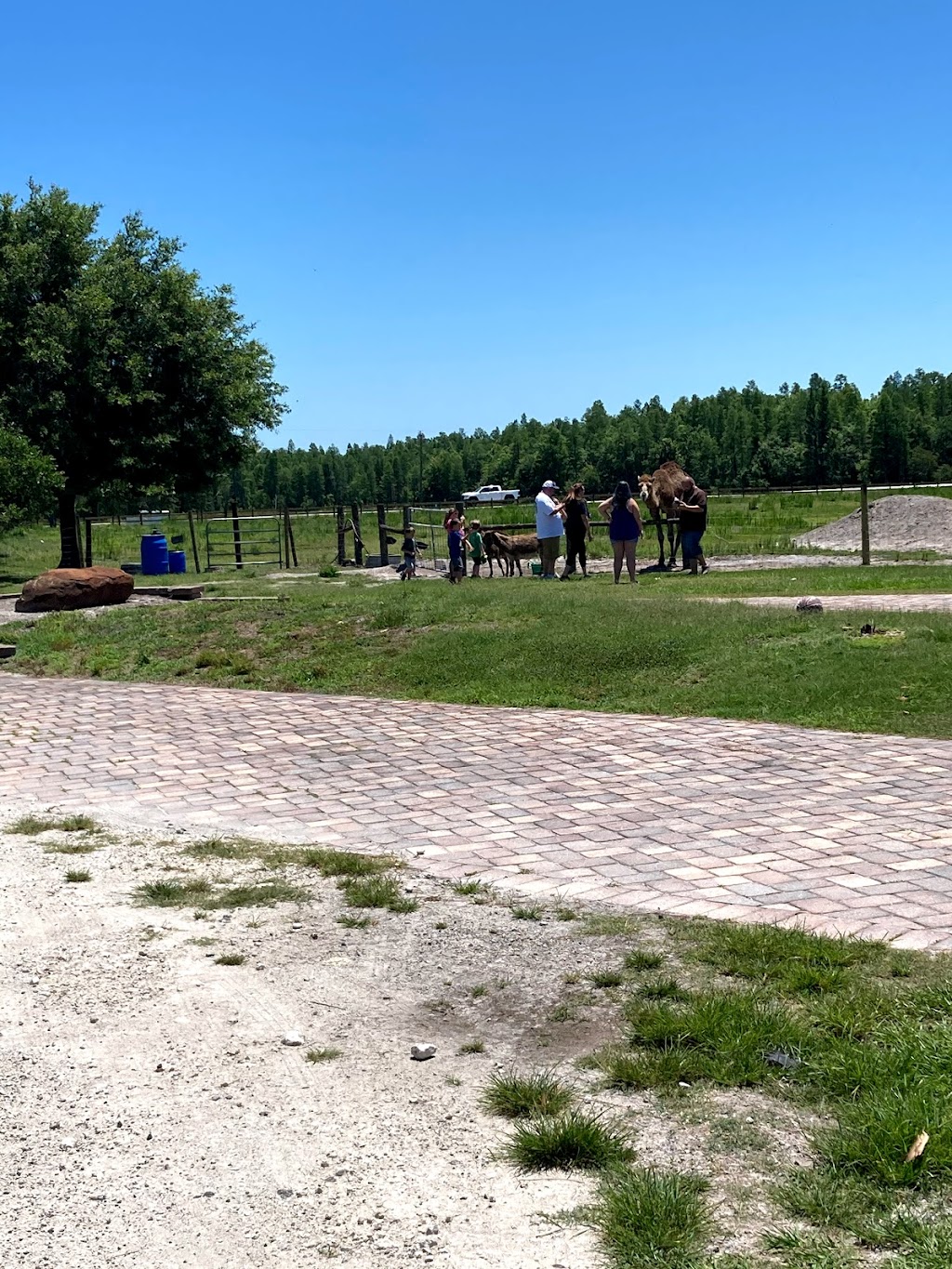 Countryside Farm & Venue | 10550 Moore Rd, Lakeland, FL 33809, USA | Phone: (918) 851-7940