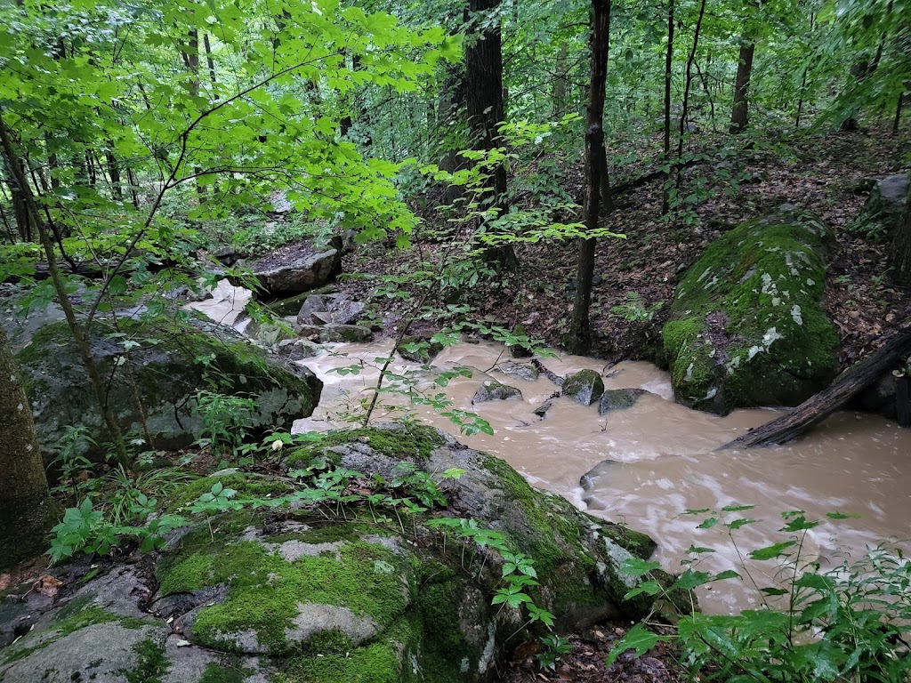 Ohiopyle State Park Kentuck Campground | 400 Kentuck Rd, Dunbar, PA 15431, USA | Phone: (724) 329-8592