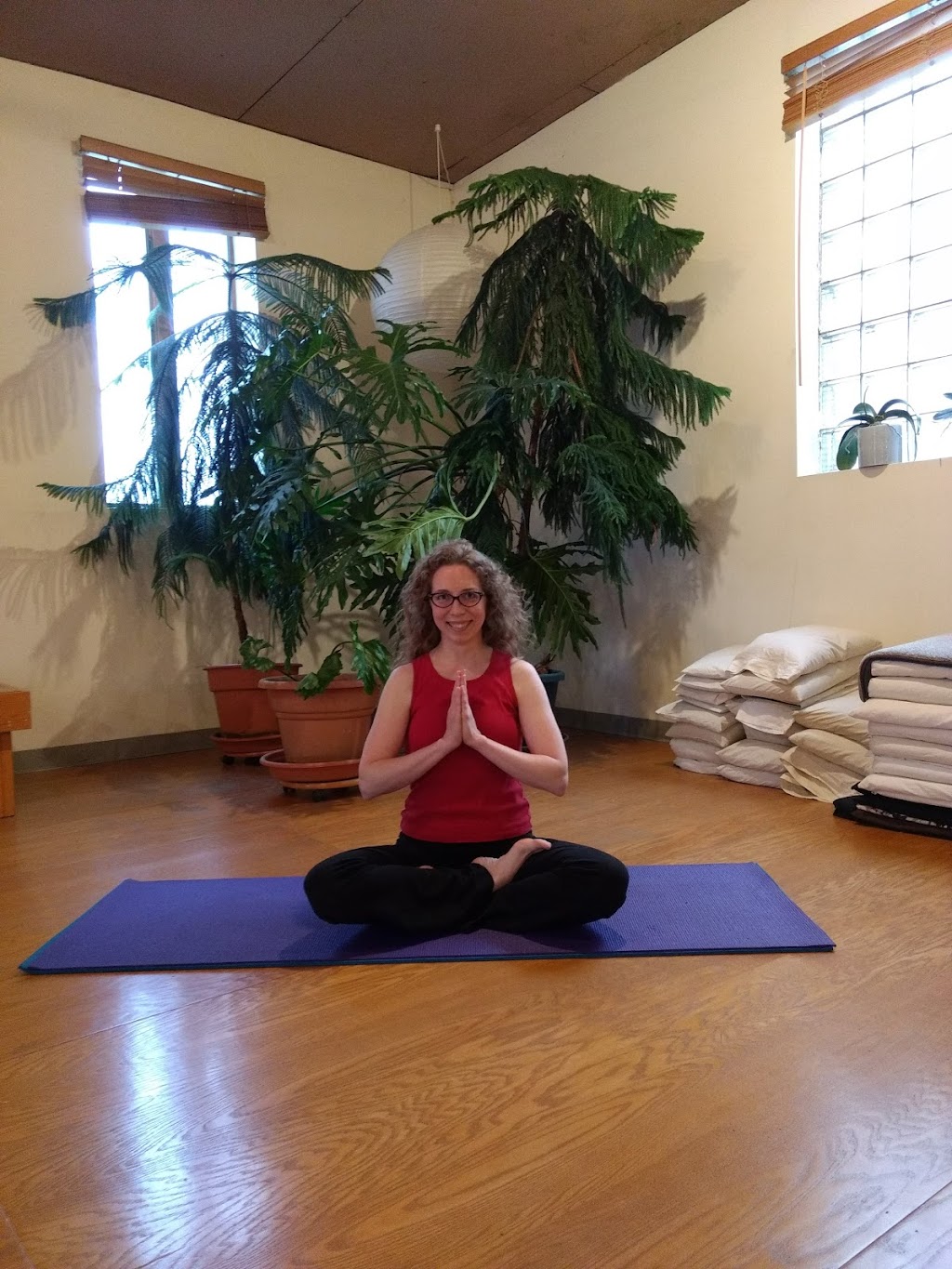 Lotus Roots Kundalini Yoga | 301 S Bedford St #219, Madison, WI 53703 | Phone: (608) 443-9677