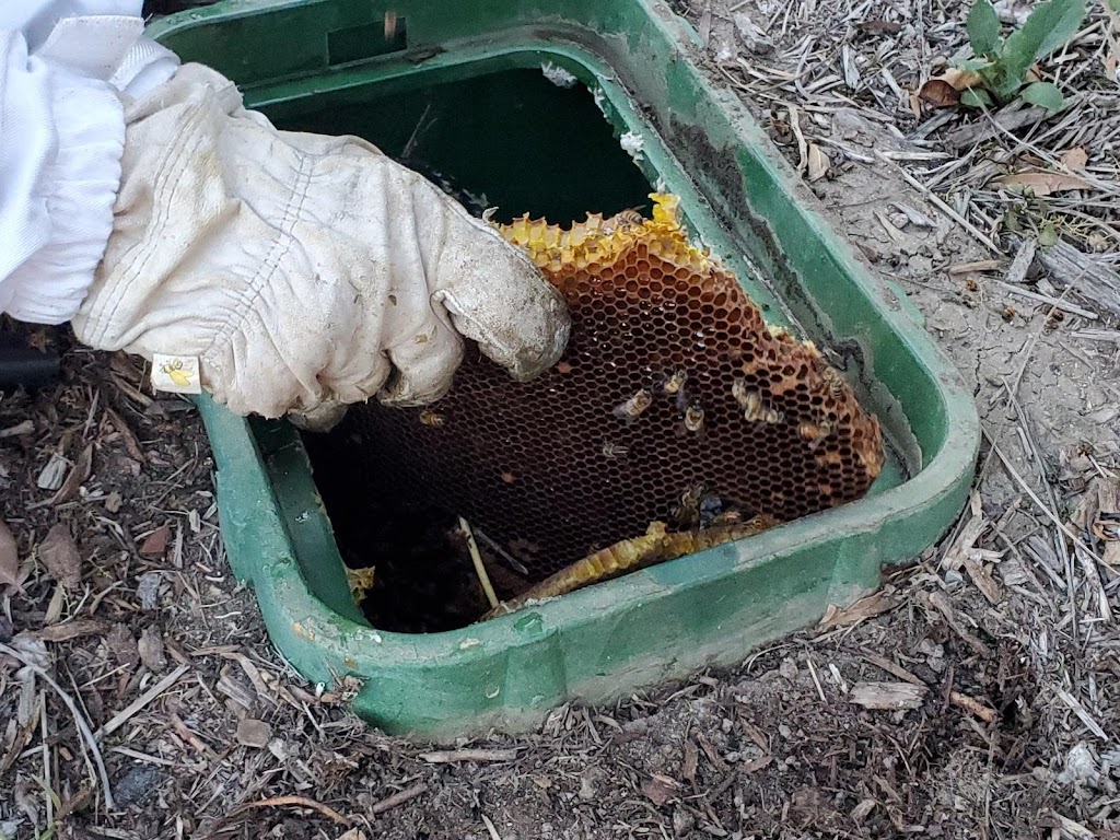 Beekeepers Association-Orange | 616 S Wayside St, Anaheim, CA 92805, USA | Phone: (714) 772-6329