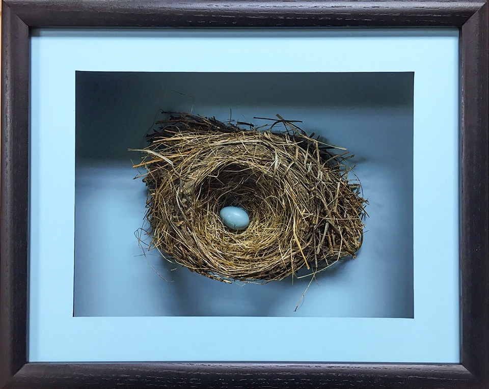 Great Frame Up | 127 Ark Rd, Mt Laurel Township, NJ 08054, USA | Phone: (856) 234-5055