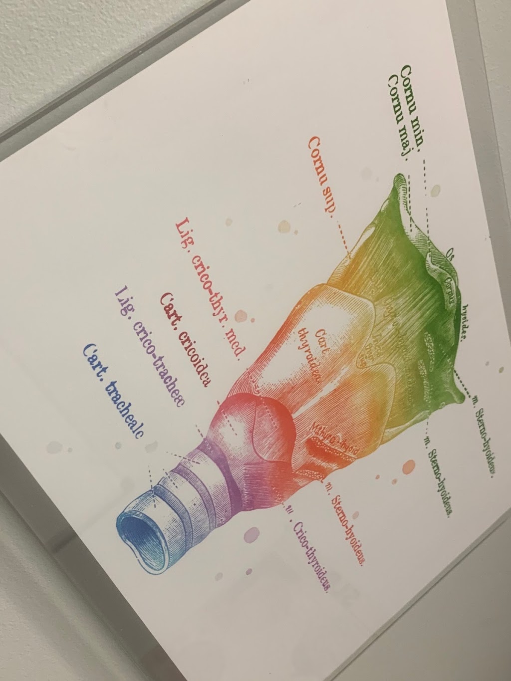 First Expressions Speech-Language Pathology Services, Inc. | 27720 Jefferson Ave Suite 120, Temecula, CA 92590, USA | Phone: (951) 587-6973