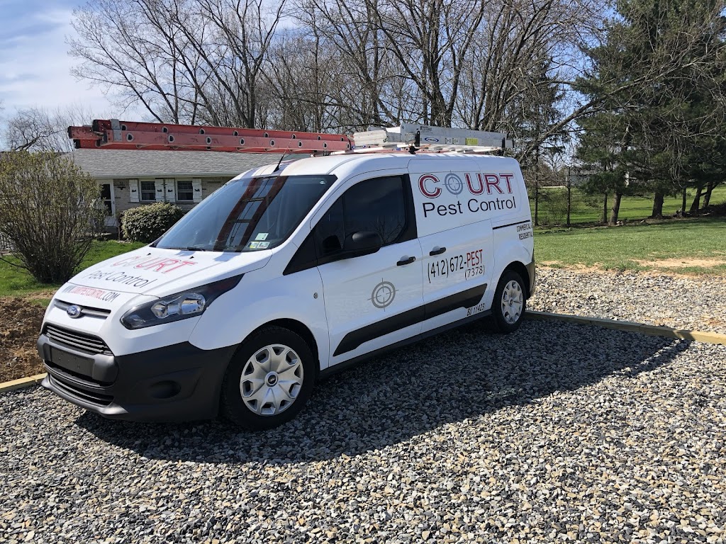 Court Pest Control LLC | 3131 5th Ave, North Versailles, PA 15137, USA | Phone: (412) 672-7378