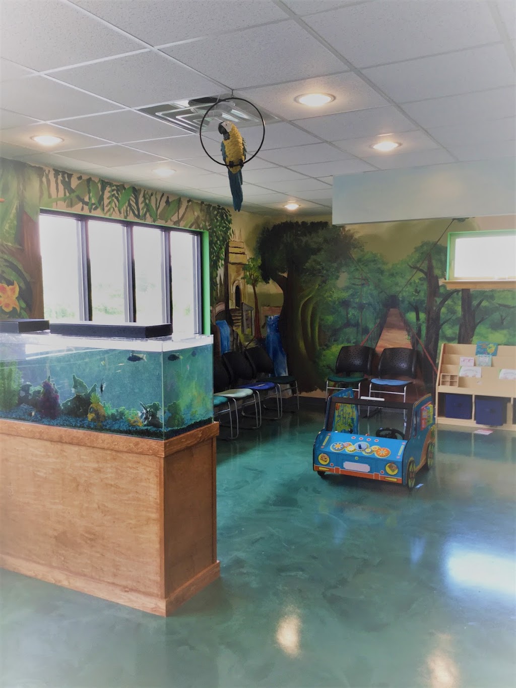 Big Tree Pediatrics | 4470 Bayview Rd, Hamburg, NY 14075, USA | Phone: (716) 646-4646