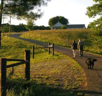 Wolf Creek Farm | 688 Gid Collin Ln, Ararat, VA 24053 | Phone: (276) 952-8869