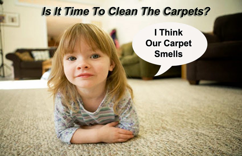 Castillos Carpet Cleaning & Pro Steamers | 5900 W Tropicana Ave, Las Vegas, NV 89103, USA | Phone: (702) 517-6999