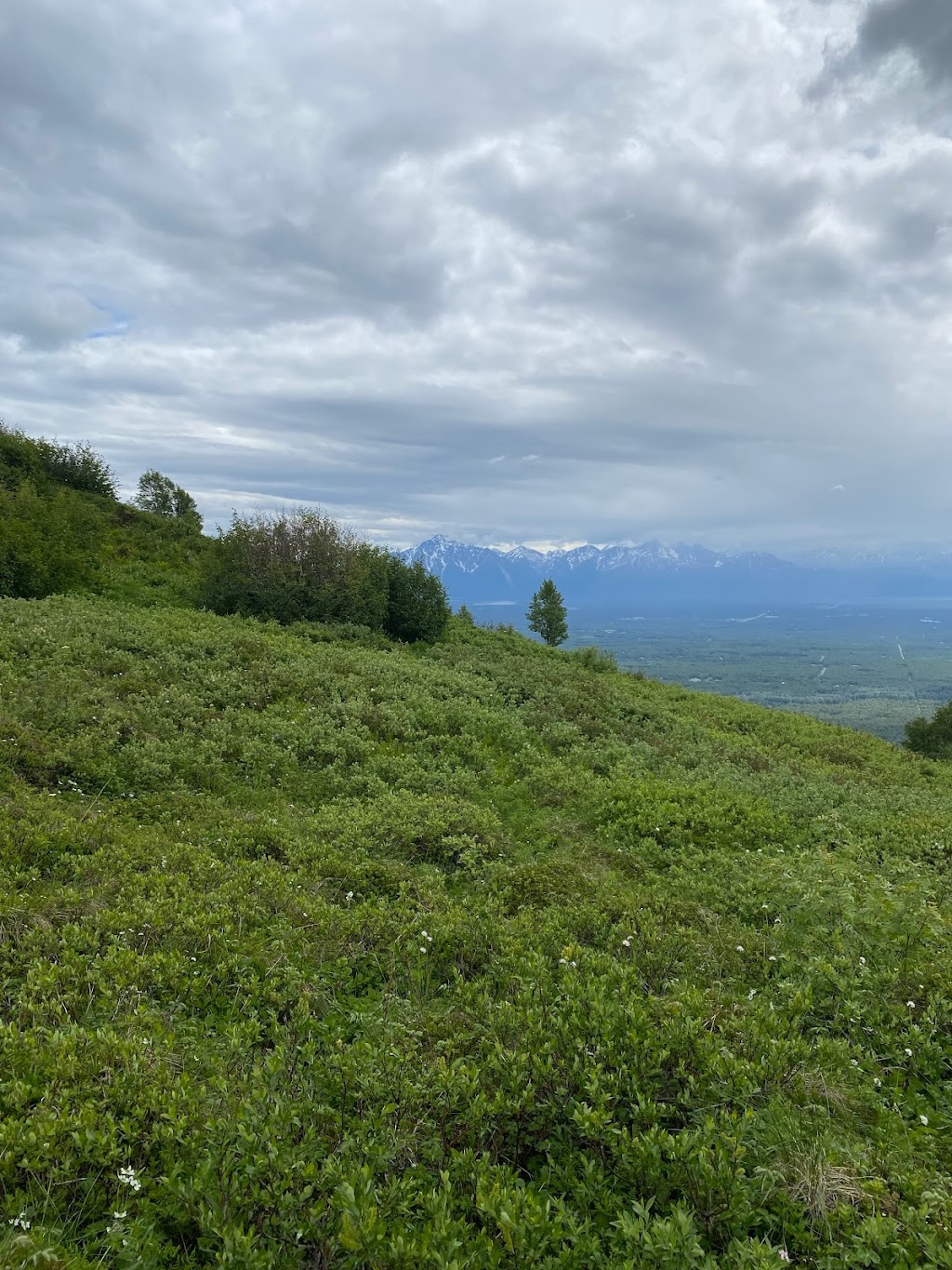 Government Peak Recreation Area | N Mountain Trails Dr, Palmer, AK 99645, USA | Phone: (907) 746-8757