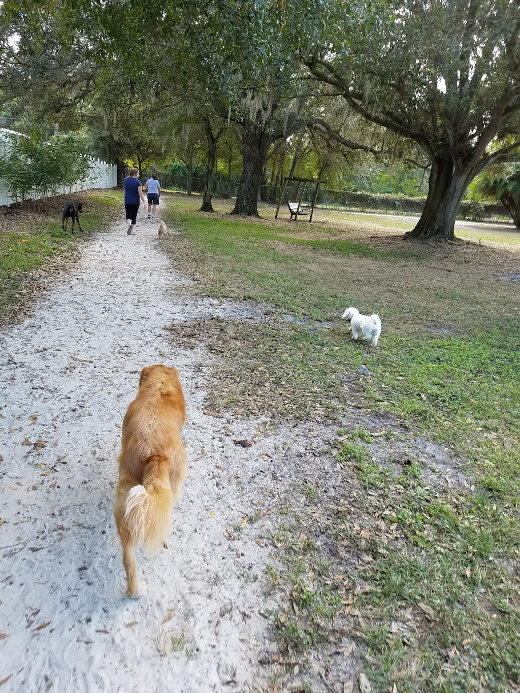 Otts Off-Leash Dog Sanctuary | 2103 3rd Ave SE, Ruskin, FL 33570, USA | Phone: (813) 645-6411